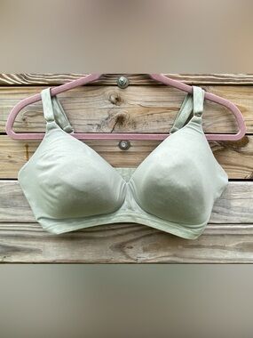 Warners Molded Wire-Free Bra in Light Sage Size 40B